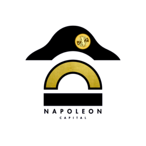 NapoleonX logo