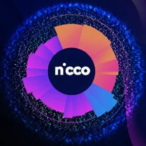 Nicco Global logo