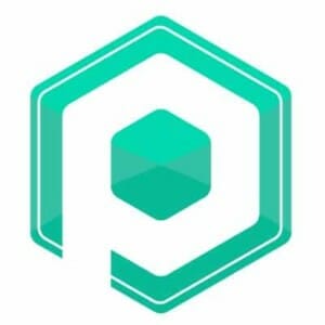 Policy Pal Network logo