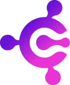 CONNECT VISION logo