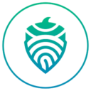 The Acorn Collective logo