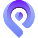 Platin logo