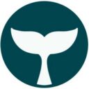 BelugaPay logo