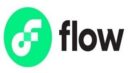 Flow Blockchain logo