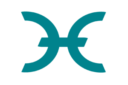 Holo logo