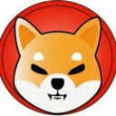 Shiba Token logo