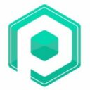 Policy Pal Network logo