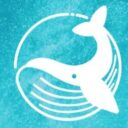 Blue Whale logo